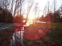 Jenfelder Moorsee in Hamburg
