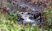 Kleine Eisvogelstaustufe in der Rahlau in Hamburg