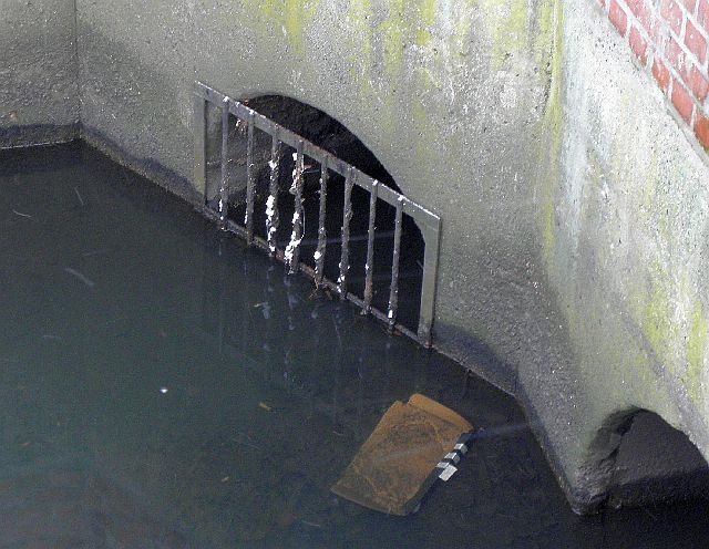 Dieses Gitter am Durchlass Jenfelder Allee ist ein beliebter Ansitz des Eisvogels