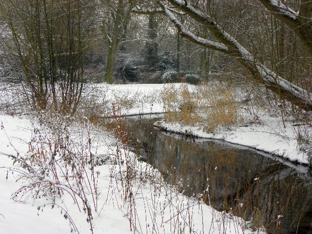 Die Wandse im Liliencronpark in Rahlstedt