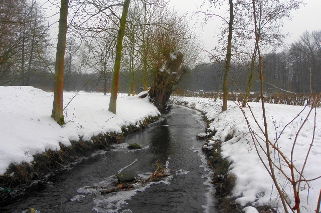 zugefrorene Wandse am Rahlstedter Uferweg in Höhe der Feldsteinkirche