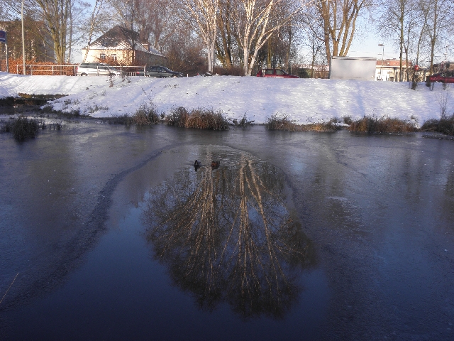 Spiegelung der Birken in der noch eisfreien Stelle im Sandfang der Rahlau