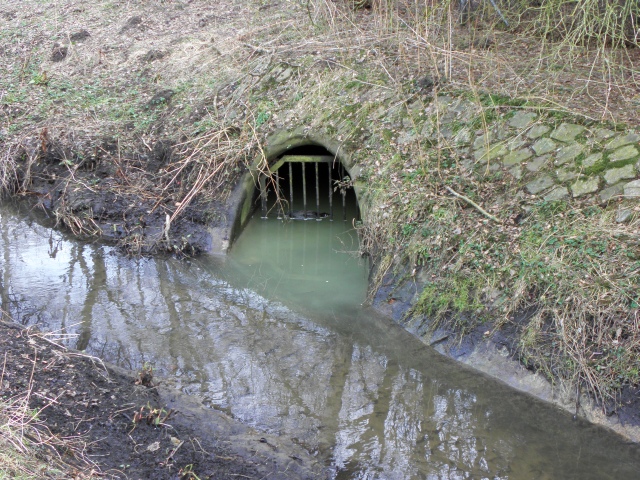 Abwassereinleitung in die Rahlau (Eisvogelrevier)