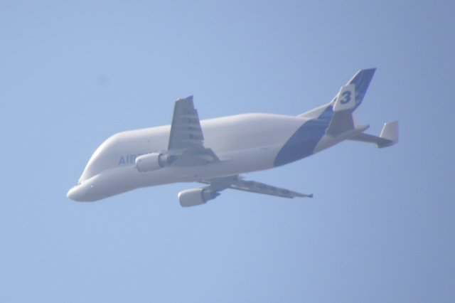 Airbus Beluga 3 über dem OPhlsdorfer Friedhof im Landeanflug