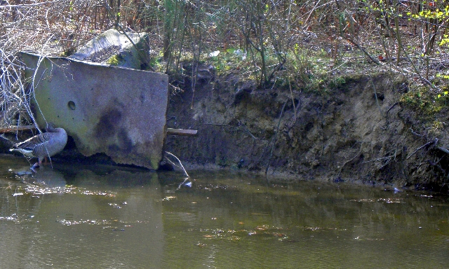 abgestürzte Eisvogelnistwand auf dem Ohlsdorfer Friedhof in Hamburg