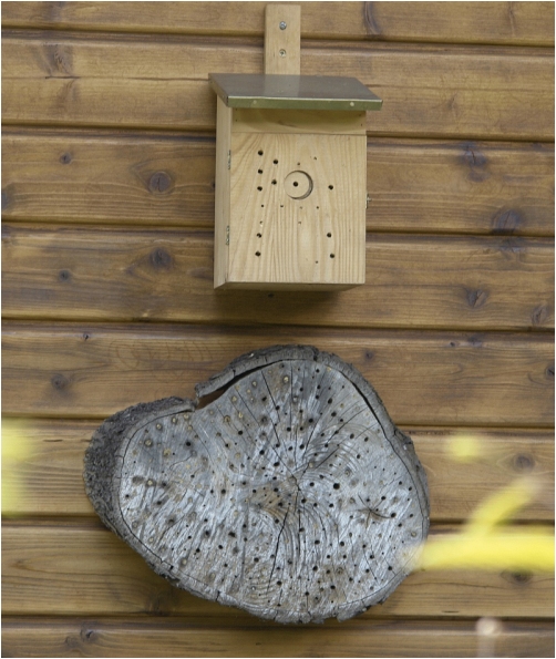 Baumscheibe als Insektenasyl, Insektenhotel