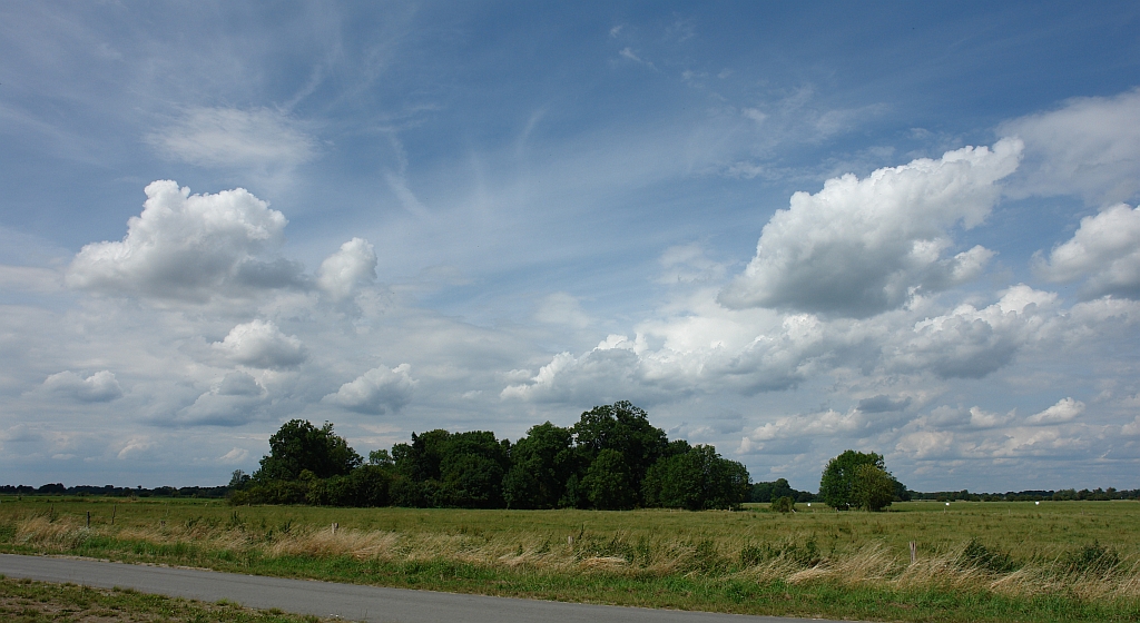 Landschaft bei Ribbeck im Havelland